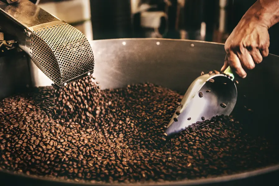 En person som brenner kaffebønner på Om Kaffebryggeriet i en stor industribrenner, med en metallskje.