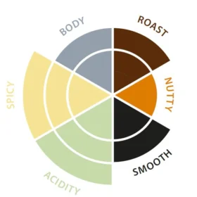 Et sirkulært kaffesmakshjul delt inn i seksjoner merket "kropp", "stekt", "nøtteaktig", "glatt", "surhet" og "krydret", hver i forskjellige nyanser som representerer smakens intensitet.